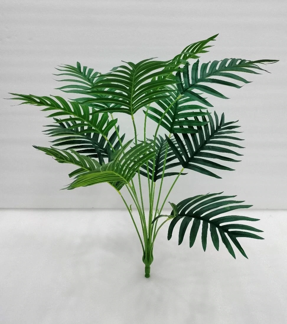 Erica Palm Tree X 12